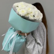 Моно 004